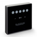 Настенная панель управления Bluesound CP100 2 – techzone.com.ua