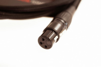 WARM AUDIO Prem-XLR-10' Кабель микрофонный 3 – techzone.com.ua WARM AUDIO Prem-XLR-10' Кабель микрофонный 3 – techzone.com.ua