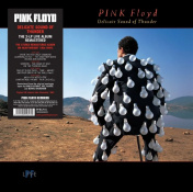 Виниловая пластинка Bertus Pink Floyd: Delicate Sound Of Thunder /2LP