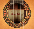Классическая гитара Alhambra 8P AL-0012 6 – techzone.com.ua