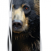 Складной нож Victorinox FIELDMASTER ANIMAL Черный медведь 1.4713.3.F1100pw 3 – techzone.com.ua Складной нож Victorinox FIELDMASTER ANIMAL Черный медведь 1.4713.3.F1100pw 3 – techzone.com.ua