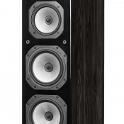 Підлогова акустика Dynavoice Challenger M-65 Black 5 – techzone.com.ua