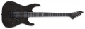 ESP E-II M-II FM (See Thru Black) 1 – techzone.com.ua