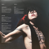 Вінілова платівка Lp: Churches /2LP 4 – techzone.com.ua Вінілова платівка Lp: Churches /2LP 4 – techzone.com.ua