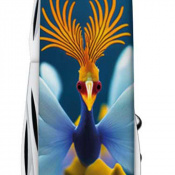 Складной нож Victorinox CAMPER DESIGN Фантастическая птичка 1.3613.3.R2100pk 4 – techzone.com.ua Складной нож Victorinox CAMPER DESIGN Фантастическая птичка 1.3613.3.R2100pk 4 – techzone.com.ua