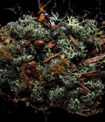 Kilian Straight To Heaven Парфумована вода унісекс 100 мл Тестер (refill) 2 – techzone.com.ua Kilian Straight To Heaven Парфумована вода унісекс 100 мл Тестер (refill) 2 – techzone.com.ua