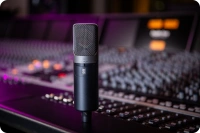 Мікрофон Slate Digital ML-1A 5 – techzone.com.ua