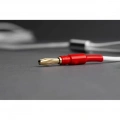 Акустичний кабель Tone Factory Speaker Cable 2X3M White 3 – techzone.com.ua