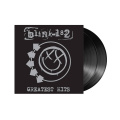 Виниловая пластинка Blink-182 - Greatest Hits [2LP] 2 – techzone.com.ua