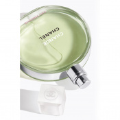 Chanel Chance Eau Fraiche Туалетна вода для жінок 100 мл 2 – techzone.com.ua