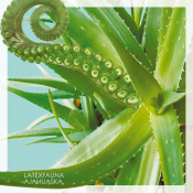 Вінілова платівка LATEXFAUNA - Ajahuaska Season 1 (Colored Vinyl) [LP]