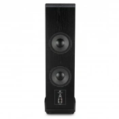 Підлогові колонки MoFi Electronics SourcePoint V10 Master Edition Black Ash 4 – techzone.com.ua