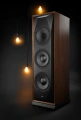 Підлогові колонки MoFi Electronics SourcePoint V10 Master Edition Black Ash 6 – techzone.com.ua