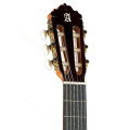 Классическая гитара Alhambra 6 P AL-0009 5 – techzone.com.ua