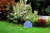 Вбудована акустика Taga Harmony TRS-15 4 – techzone.com.ua Вбудована акустика Taga Harmony TRS-15 4 – techzone.com.ua