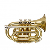 Труба STAGG P WS-TR245S 1 – techzone.com.ua