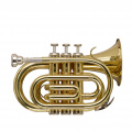 Труба STAGG P WS-TR245S 4 – techzone.com.ua
