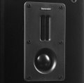 Полочные колонки Dynavoice Definition DM-6 Oak 4 – techzone.com.ua