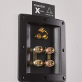 Полочные колонки Dynavoice Definition DM-6 Oak 5 – techzone.com.ua