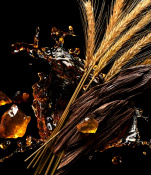 Kilian Old Fashioned Парфумована вода унісекс 100 мл (refill) 5 – techzone.com.ua Kilian Old Fashioned Парфумована вода унісекс 100 мл (refill) 5 – techzone.com.ua