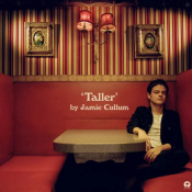 Вінілова платівка Jamie Cullum: Taller