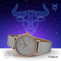 Жіночий годинник Timex CELESTIAL OPULENCE Tx2t87500 7 – techzone.com.ua