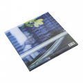 Вінілова платівка Катя Chilly - Я молодая (Clear Vinyl) [2LP] 7 – techzone.com.ua