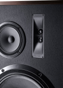 Акустика Magnat Transpuls 1500 Dark wood 3 – techzone.com.ua Акустика Magnat Transpuls 1500 Dark wood 3 – techzone.com.ua