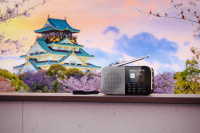 Цифрове радіо з Bluetooth SHARP DR-P520 8 – techzone.com.ua