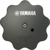 YAMAHA PM-6X Flugelhorn 2 – techzone.com.ua YAMAHA PM-6X Flugelhorn 2 – techzone.com.ua