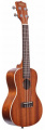 Укулеле KALA MAHOGANY CONCERT UKULELE WITH BINDING 1 – techzone.com.ua