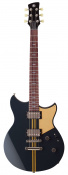 YAMAHA REVSTAR PROFESSIONAL RSP20X (Rusty Brass Charcoal) 1 – techzone.com.ua