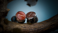 Навушники FiiO FP3 Rosewood 5 – techzone.com.ua