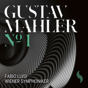 Вінілова платівка LP Gustav Mahler - №1 Wiener Symphoniker