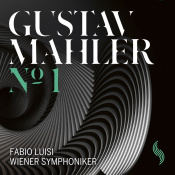 Вінілова платівка LP Gustav Mahler - №1 Wiener Symphoniker – techzone.com.ua Виниловая пластинка LP Gustav Mahler - №1 Wiener Symphoniker – techzone.com.ua
