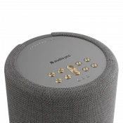 Акустична система Audio Pro A10 MkII W Dark Grey 3 – techzone.com.ua