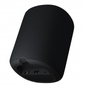 Смарт-колонка WiiM Sound Black 3 – techzone.com.ua