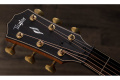 TAYLOR GUITARS 814ce BUILDER'S EDITION Гітара електроакустична 4 – techzone.com.ua