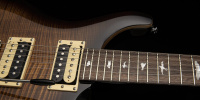 PRS SE Custom 24 (Black Gold Burst) 4 – techzone.com.ua PRS SE Custom 24 (Black Gold Burst) 4 – techzone.com.ua
