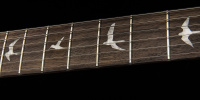 PRS SE Custom 24 (Black Gold Burst) 5 – techzone.com.ua PRS SE Custom 24 (Black Gold Burst) 5 – techzone.com.ua