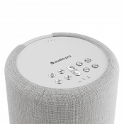 Акустична система Audio Pro A10 MkII W Light Grey 3 – techzone.com.ua