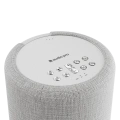 Акустична система Audio Pro A10 MkII W Light Grey 3 – techzone.com.ua
