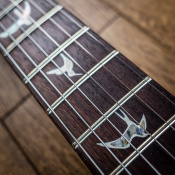 PRS Custom 24 10 Top (Faded Whale Blue) #0353991 9 – techzone.com.ua PRS Custom 24 10 Top (Faded Whale Blue) #0353991 9 – techzone.com.ua