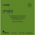Струны для классической гитары Gallistrings GR100 HARD TNS 3 – techzone.com.ua