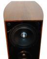 Напольные колонки Taga Harmony Blue F-80 Walnut 7 – techzone.com.ua