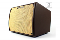 IBANEZ T30II Гітарний комбопідсилювач 4 – techzone.com.ua IBANEZ T30II Гітарний комбопідсилювач 4 – techzone.com.ua