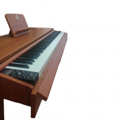 Цифровое пианино Alfabeto Moderato (Orange) 7 – techzone.com.ua