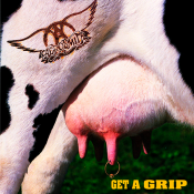 Вінілова платівка Aerosmith: Get A Grip /2LP