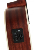 CORT MR500E (Open Pore) 2 – techzone.com.ua