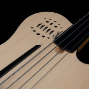 Електро акустичний бас Godin Guitars Godin A4 Ultra Natural Fretless A/E 5 – techzone.com.ua